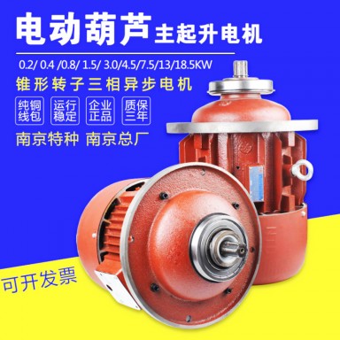 南京力思特电机ZD141-4 7.5KW锥形转子三相异步电机ZDY21-4 0.8KW